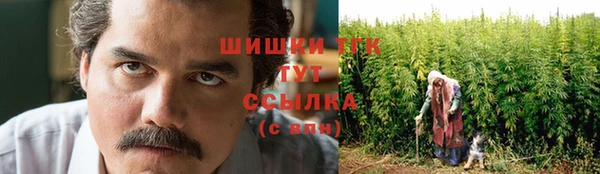 амф Арсеньев