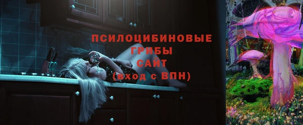 амф Арсеньев