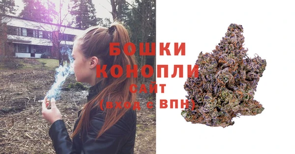 гидра Армянск