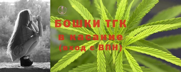 гидра Армянск