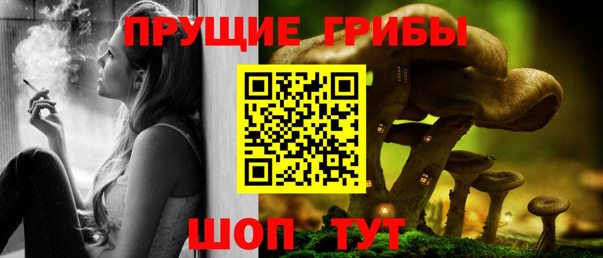 Галлюциногенные грибы Cubensis Электрогорск